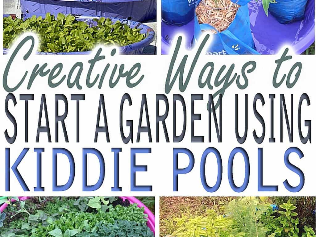Creative Ways to Start a Garden Using Kiddie Pools * My Stay At Home