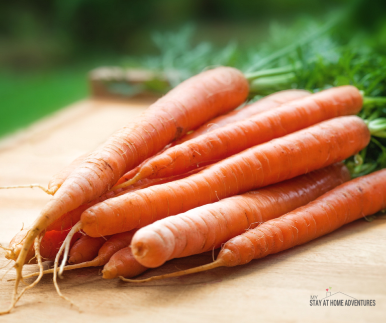 How To Grow Carrot Indoors