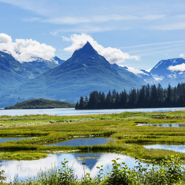 Where Can I Get Free Alaska Travel Guides