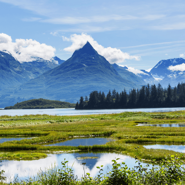 Landscape of Alaska