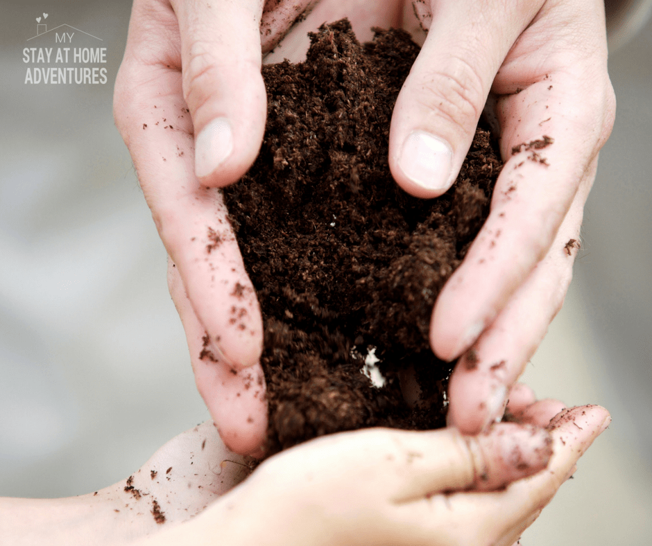 One of many beginner gardening mistakes to avoid.