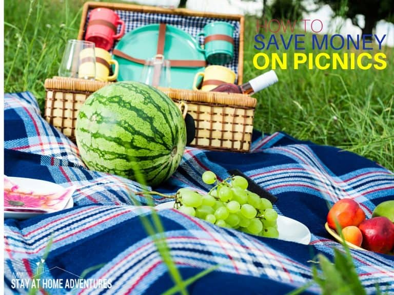 8 Never Thought Of Tips To Help You Save Money On Picnics