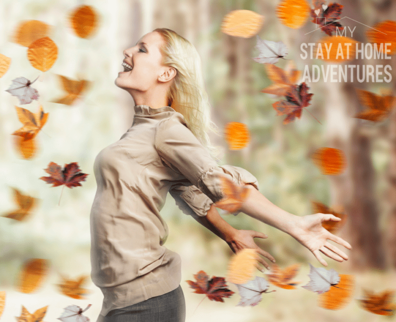 Fall Energy Saving Tips To Help You Save Money