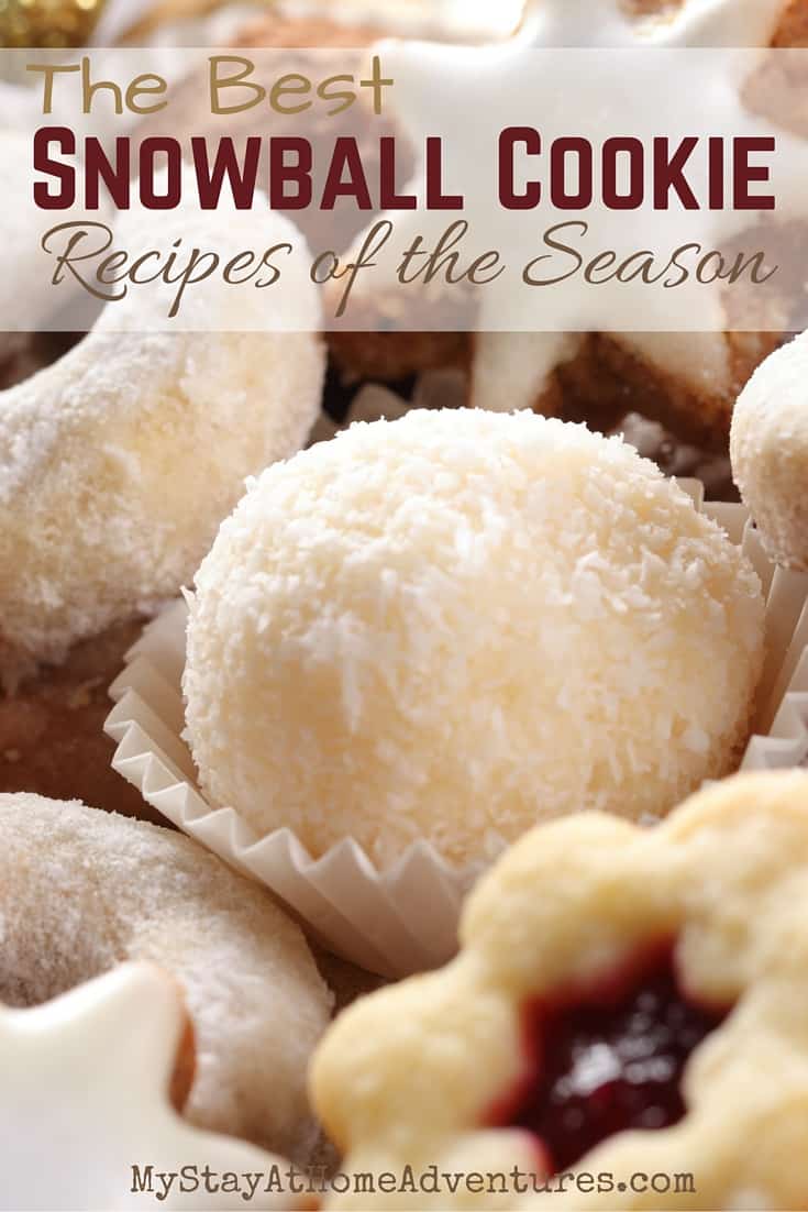 It is that time of the year, and if you are looking for the best snowball cookie recipes around, we have them all here! So check out these fantastic recipes! via @mystayathome