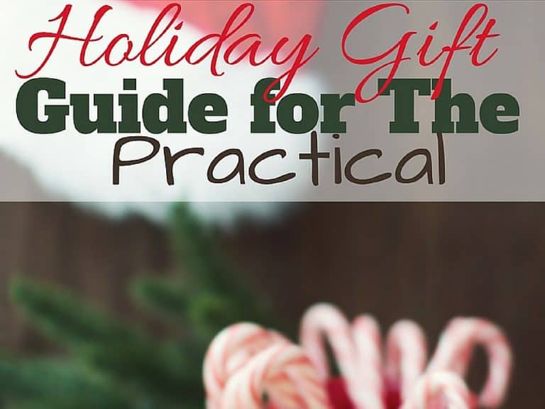 Holiday Gift Guide for The Practical for 2018