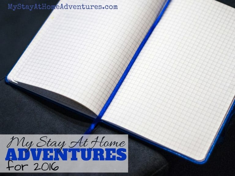 My Stay At Home Adventures for 2016