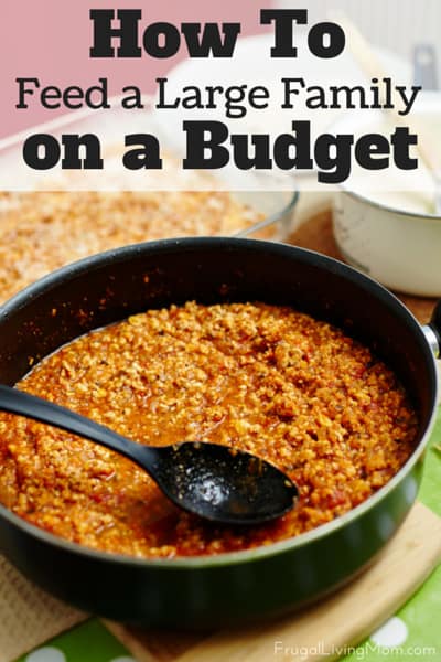 How-To-Feed-a-Large-Family-on-a-Budget