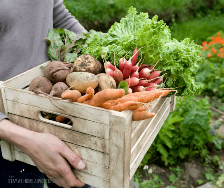 10 Ways to Make Money from Your Garden This Season!