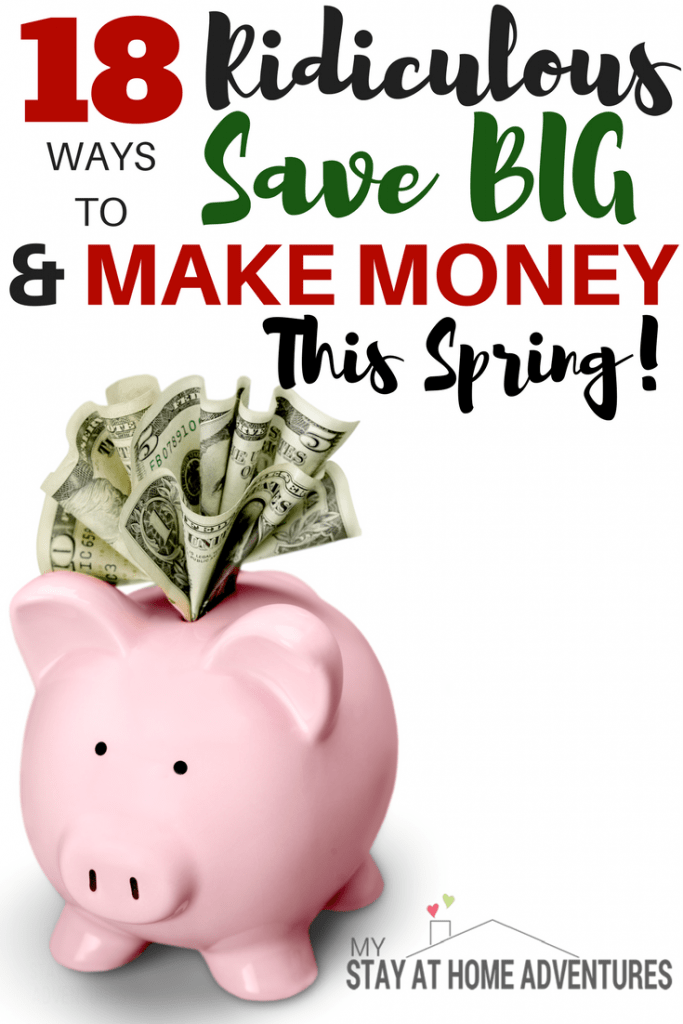 Spring is here and this season you will have a financially successful spring! How you may ask. With this 18 ridiculous ways that will help you make money and save money this season. The good news is that the entire family can do these money tricks!