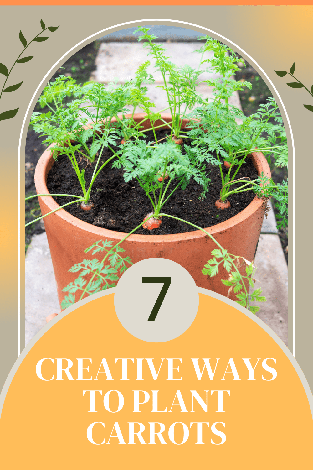 Learn creative ways to plant carrots! From using containers to grow bags, pallets, and more- explore these methods for those with limited garden space or who want to add visual interest to their garden. via @mystayathome