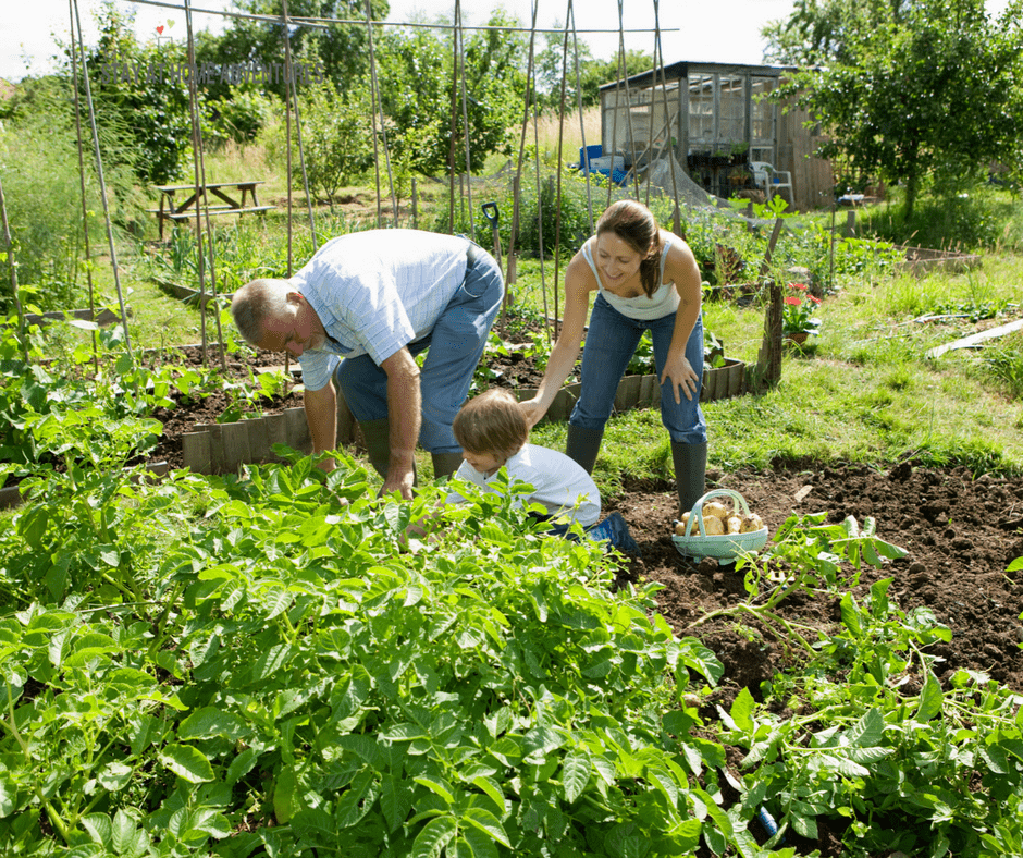 Want to learn how they do it? Here are 20 Grocery Budget Hacks for Big Families to help you save money. And no you don't need a big family to save!