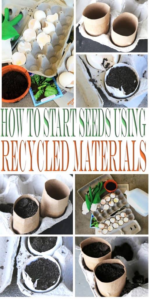 Start your seed starting using recycled materials this gardening season. Learn to grow seeds using egg cartons and toilet paper rolls.