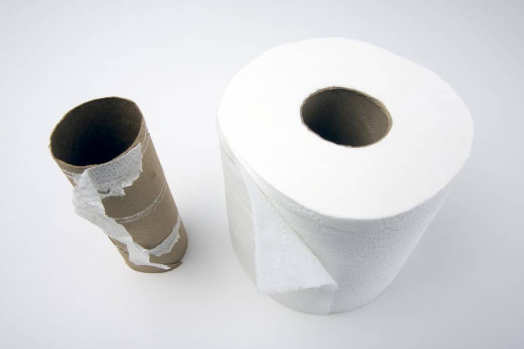 Abstract Conceptual Empty and Full Toilette Paper Rolls