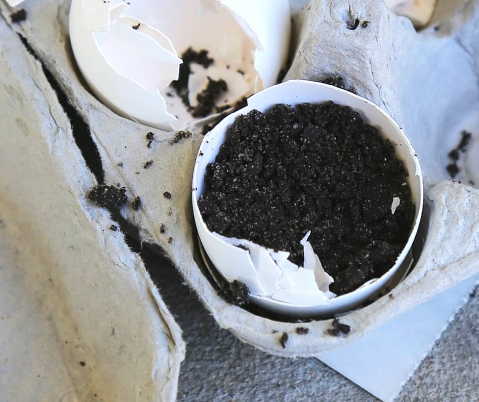 How to Plan seeds inside eggshells