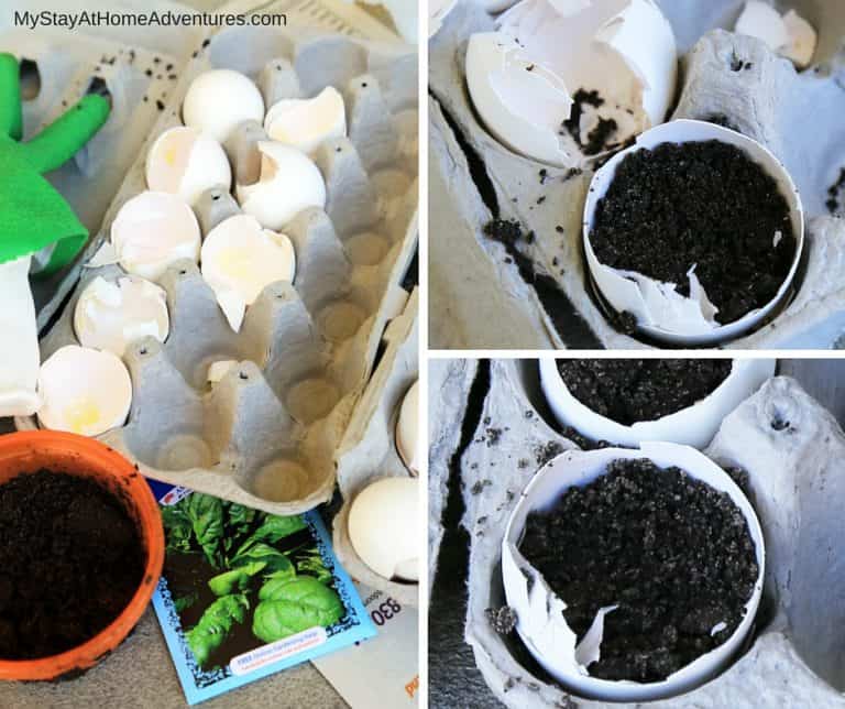 How to Start Seeds Using Recycled Materials