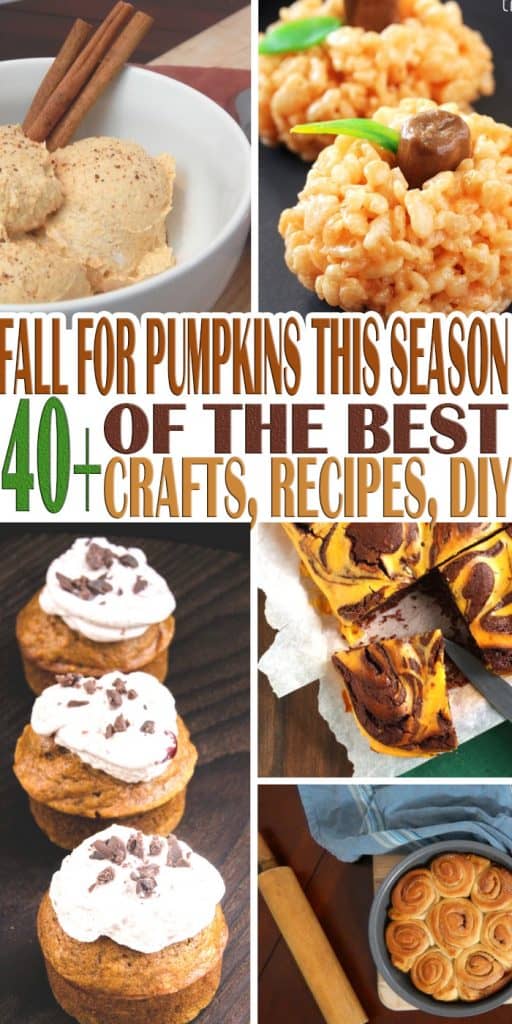 Don't we love Fall? Of course we do! This is why we have everything you can imagine about pumpkins! Fall For Pumpkins This Season with everything pumpkin!