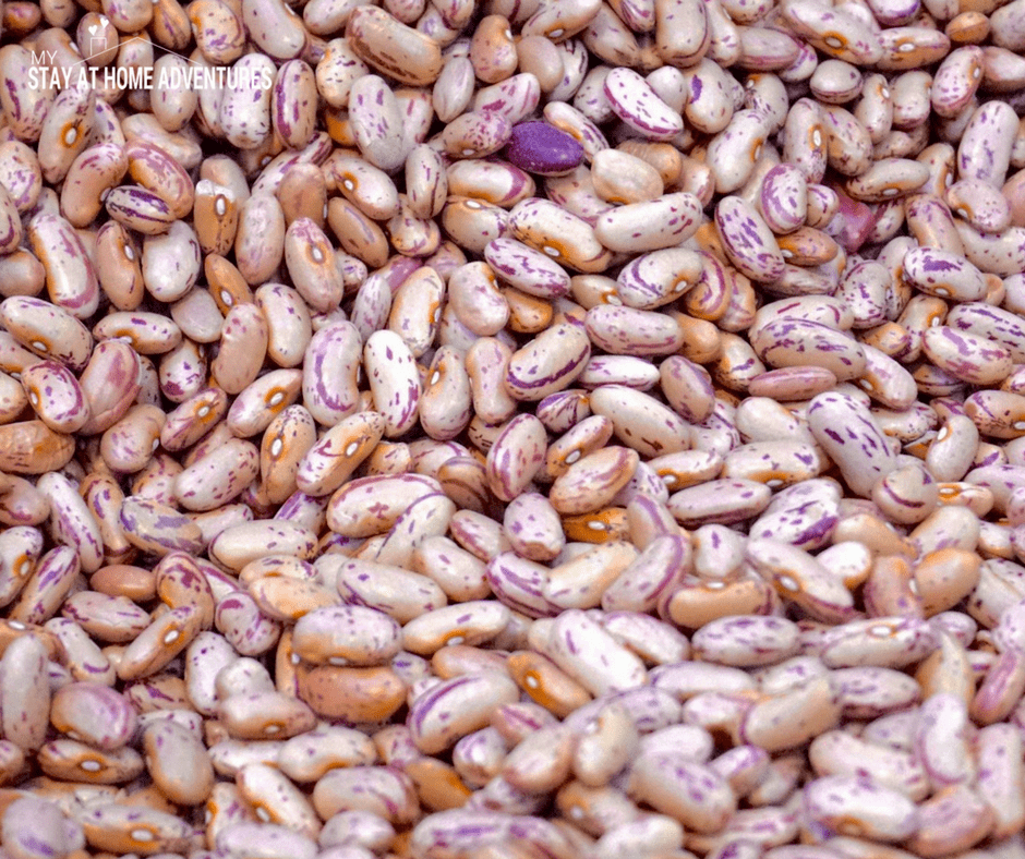 A great food pantry staple to have in your home is dried beans.