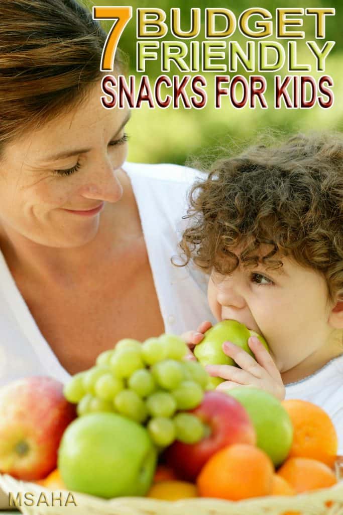 Kids love to snack and snack and snack. Check out these 7 best budget friendly snacks for kids that you are going to love and so will your wallet. Stock your pantry and grow you saving with these budget friendly snacks.