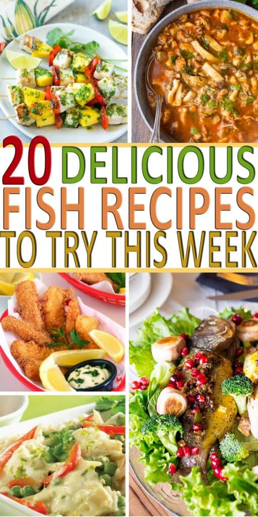 Let's talk fish recipes and why you need to try these fabulous recipes this week. From Paleo fish recipes to fish tacos you are going to find them all here!