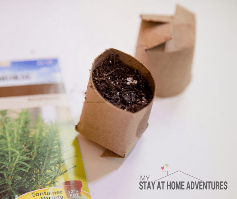 How to Create Toilet Paper Roll Seed Starter (Tutorial)