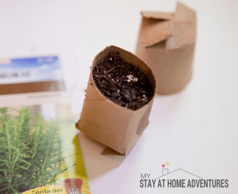 How to Create Toilet Paper Seed Starter