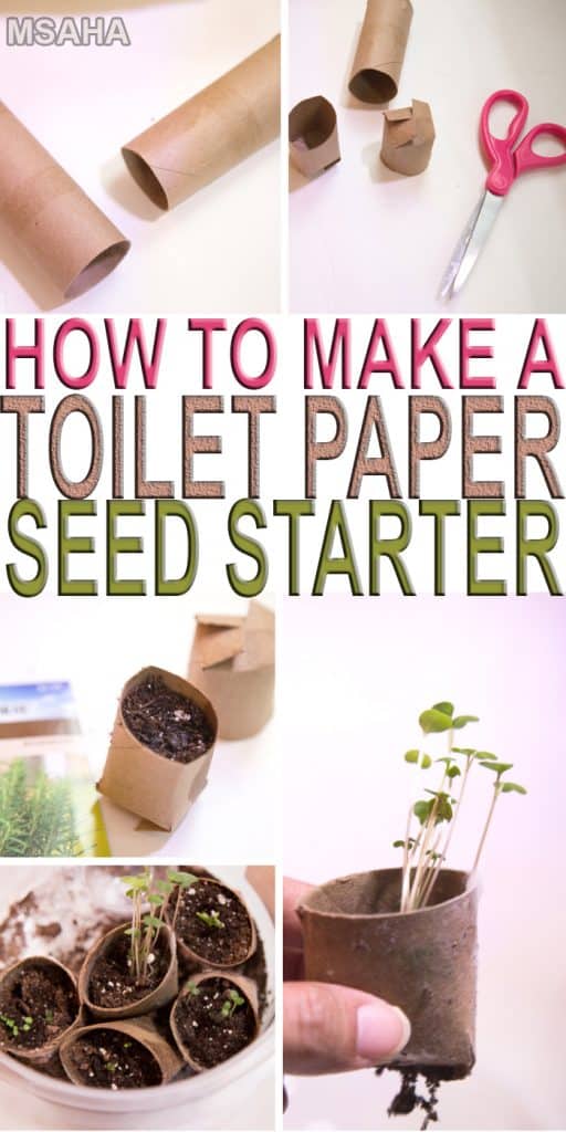 You start your garden with something as simple as a toilet paper seed starter and you will learn how easy and inexpensive it can be as well.