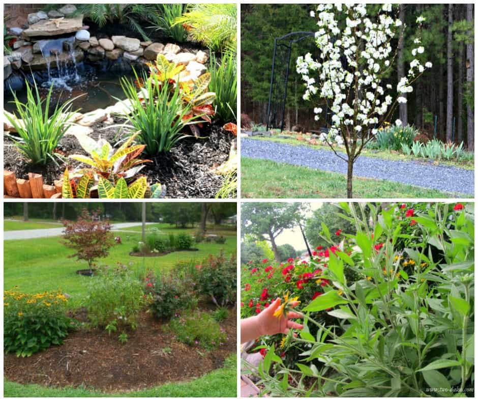 12 Simply Beautiful Front Yard Landscaping Ideas to Wow Your Neighbors