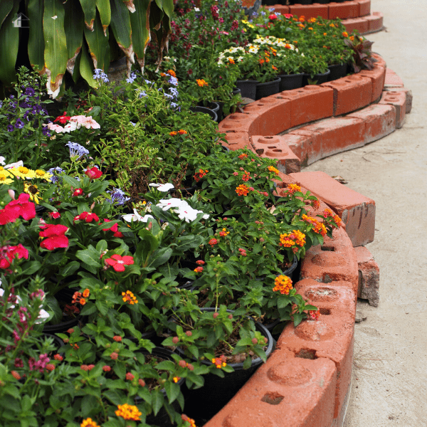 Front yard garden.