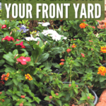 Pinterest Hidden Image