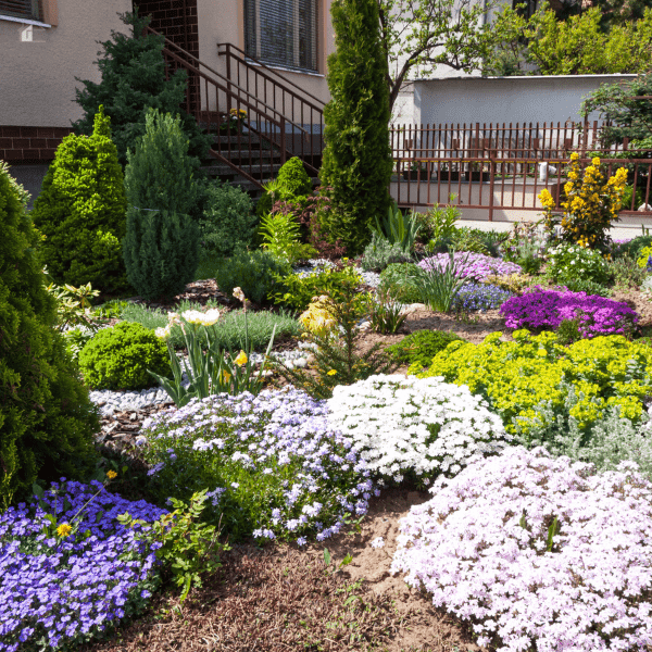 How to Landscape Your Front Yard: 7 Tips To Help You!