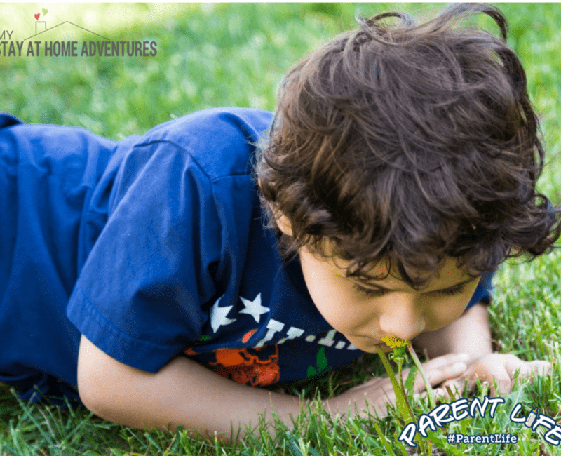 5 Tips on How to Be a Positive Parent