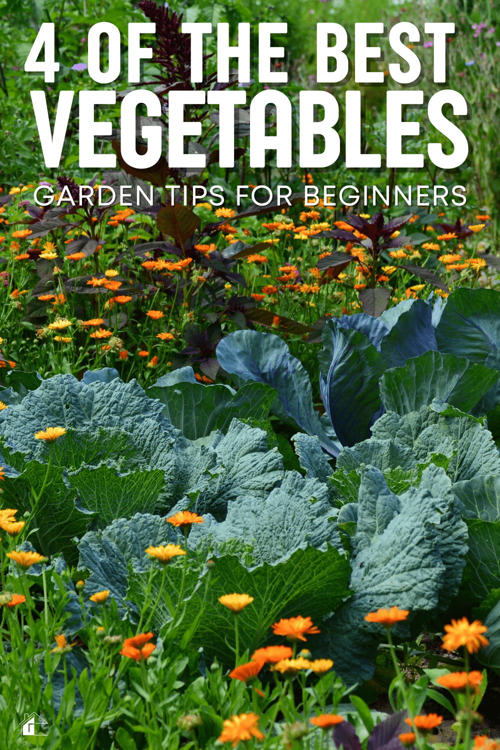 Whether you have never gardened or need some help with the basics, read this article to get a few tips on how to get your vegetable garden started this year. via @mystayathome