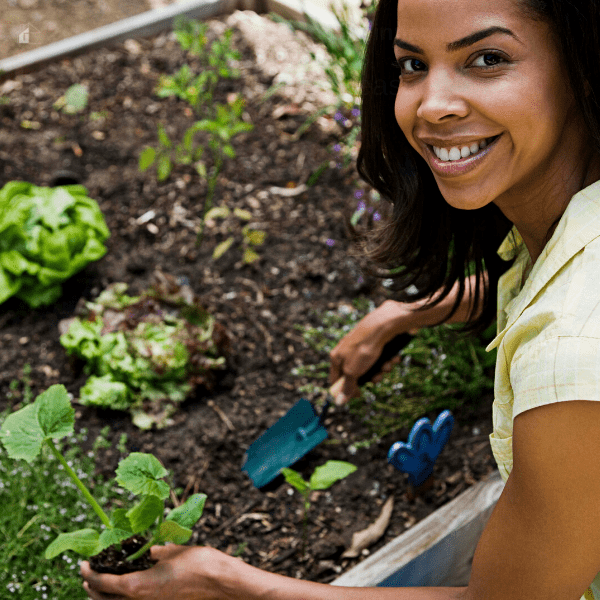 5 Tips to Help Beginner Gardeners Not Fail This Season