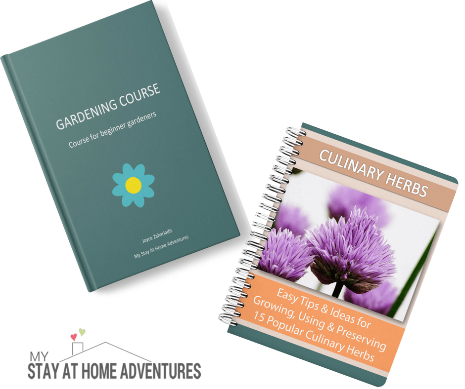 Free Gardening Course for Beginners (and a surprise for completing it!)