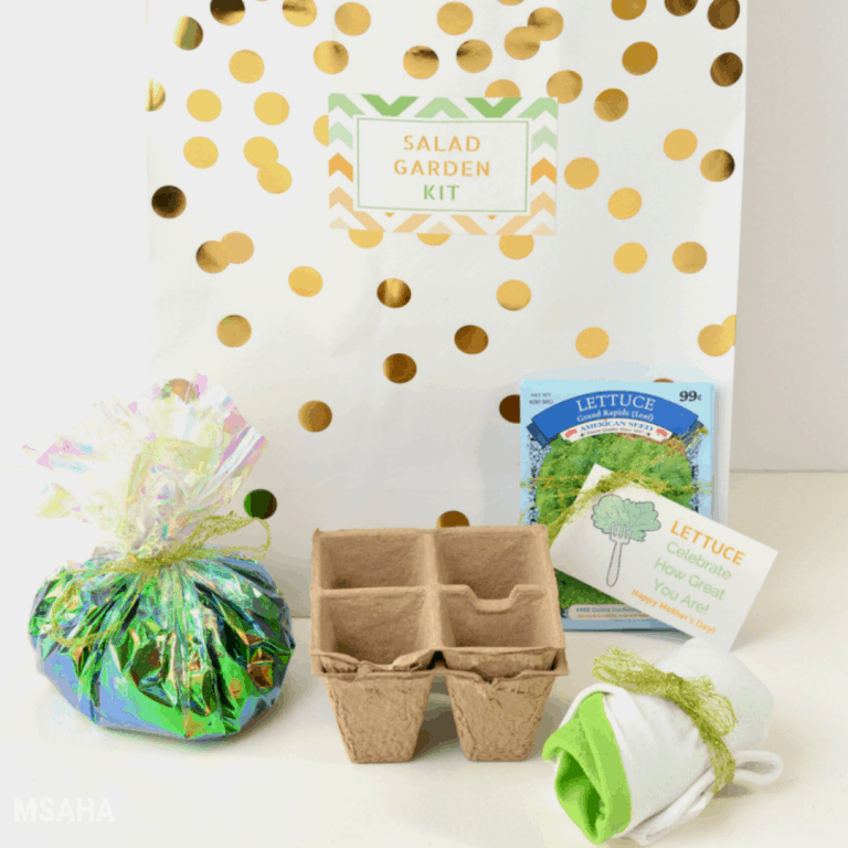 Mother’s Day DIY Gift: Mother’s Day Salad Garden Kit
