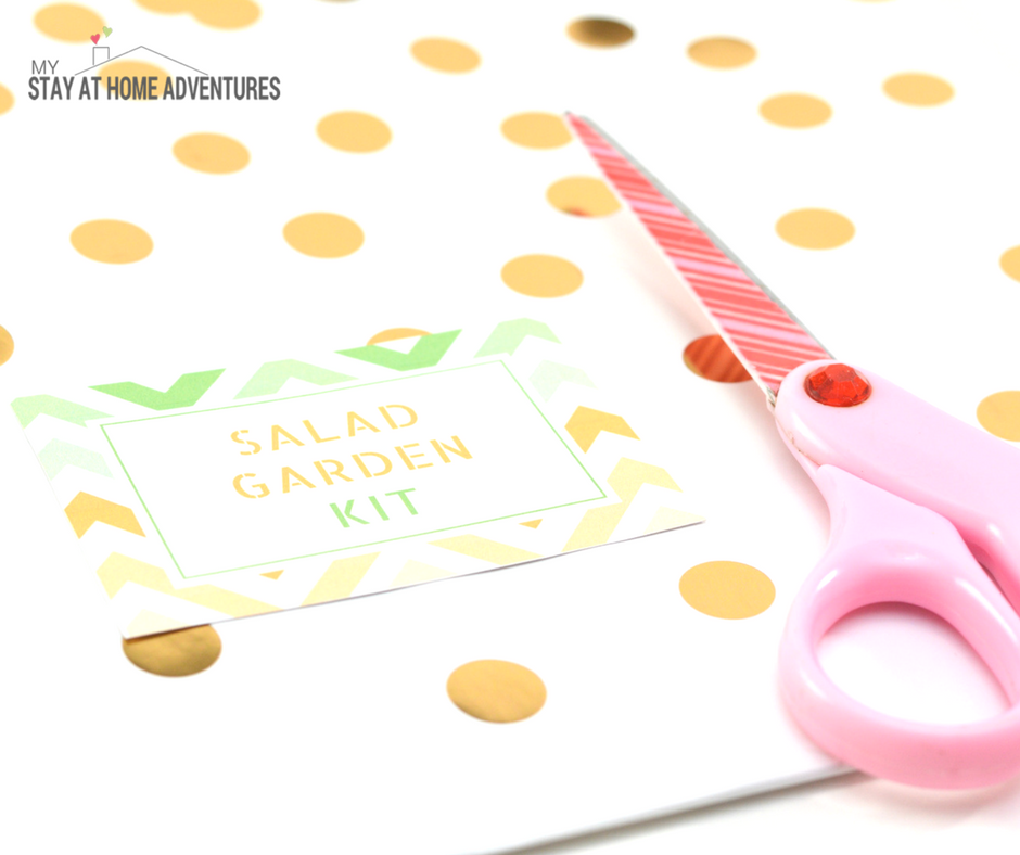 Mother's Day DIY Gift: Mother’s Day Salad Garden Kit - Salad Garden Kit Card Free PDF