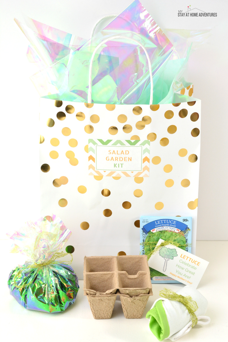 Looking for a cute and affordable Mother's Day DIY gift? Check out this super cute Mother's Day Salad Garden Kit for the mom who loves gardening and of course salad! Comes with free printable cards and all you need can be bought at your local dollar store!