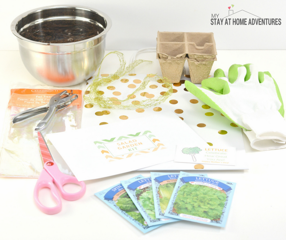 Mother's Day DIY Gift: Mother’s Day Salad Garden Kit -Mother's Day gift for gardeners