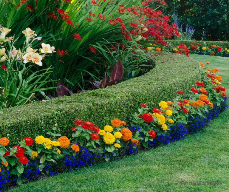 How to Add Color to Front Yard Landscaping