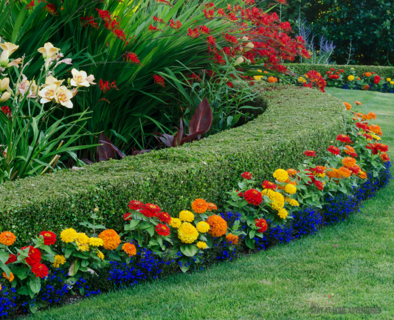 How to Add Color to Front Yard Landscaping