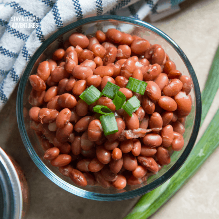 Instant Pot Dried Beans (No Pre-Soaking Required)
