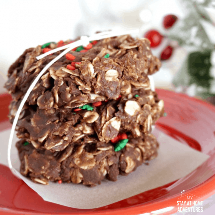 Nutella No Bake Cookie