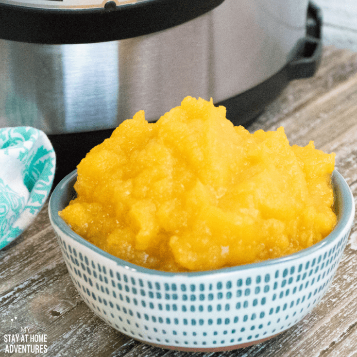Super Fast & Easy Instant Pot Pumpkin Puree Recipe