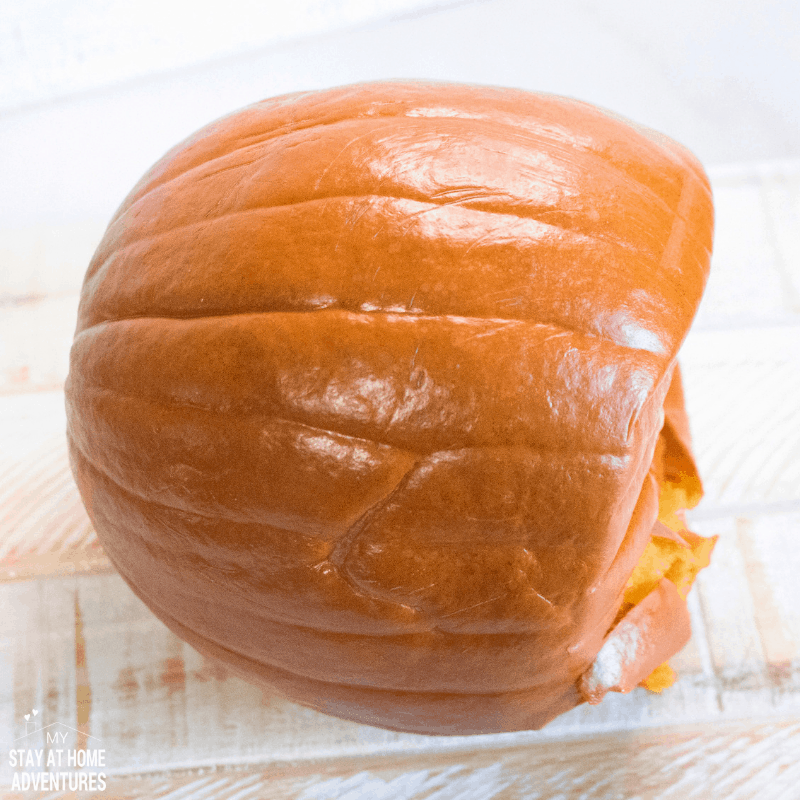 Pumpkin after 13 minutes in the Instant Pot