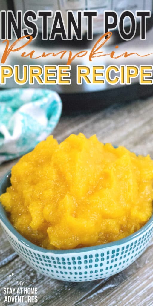 Learn how to make a fast and easy Instant Pot Pumpkin Recipe using a pie pumpkin and how to freeze pumpkin puree the right way.