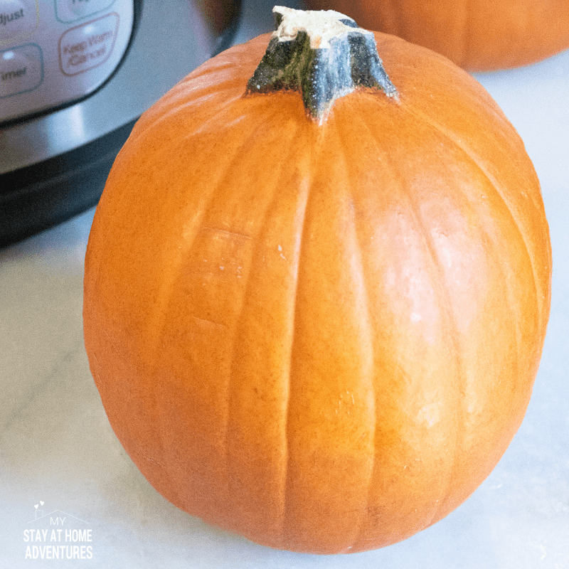 Instant Pot Pumpkin Puree using a pie pumpkin.