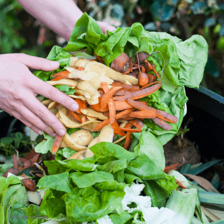 Food to Toss Into Your Garden