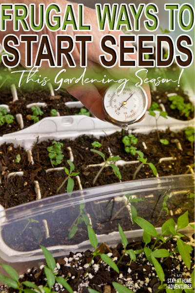 Are you a beginner gardener? Learn frugal ways to start your seeds this gardening season with items you already have in your home.