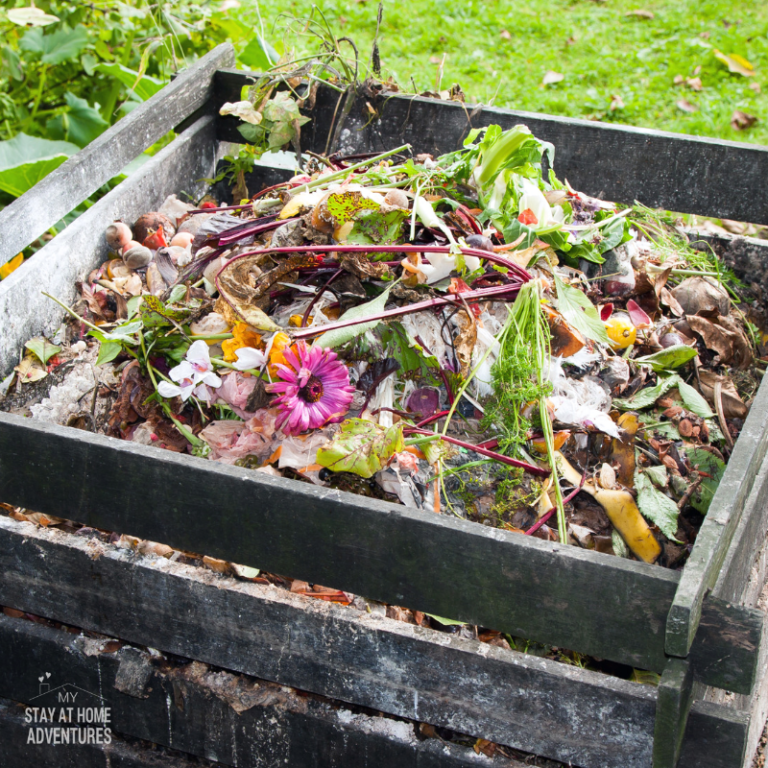 Composting Tips (3 Basic Tips For Beginners)