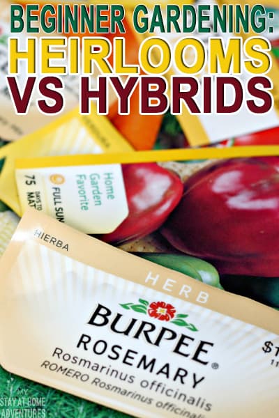 What does heirlooms seeds and hybrids seeds mean? Learn all you need to know about heirlooms and hybrids with this simple beginners guide.